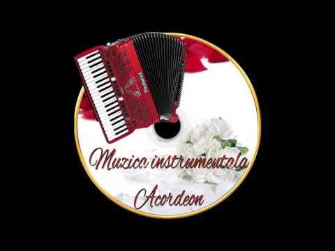 Muzica Instrumentala    Acordeon Dan Coreeanu