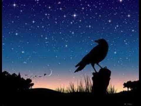 buenas noches, señorita