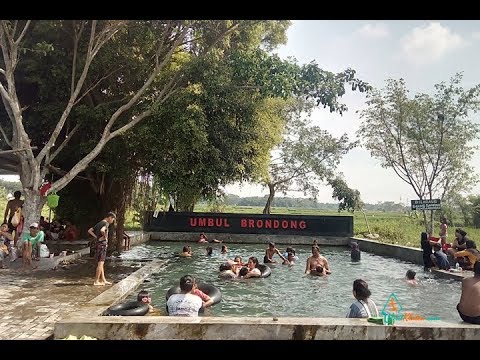 Umbul brondong ngrundul