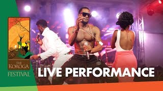 D&#39;Banj - Oliver Twist Live at The Koroga Festival