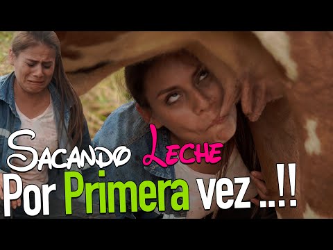 SACANDO LECHE POR PRIMERA VEZ | VIDEO DE HUMOR
