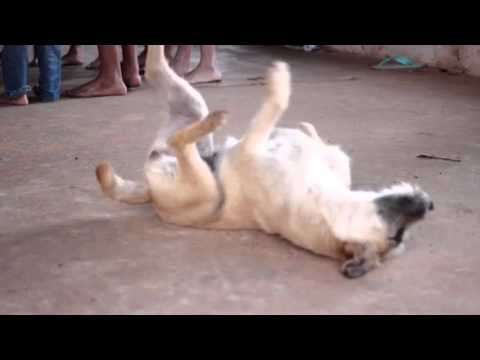 Oficina de Coco e Toré