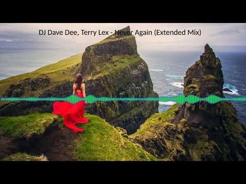 DJ Dave Dee, Terry Lex - Never Again (Extended Mix)