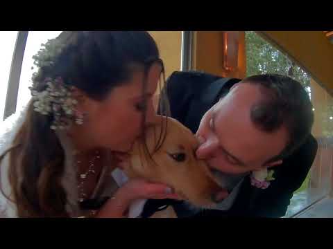 Boda Anabel & Dani y sus perros