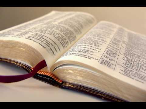 Bibel Matthäus - Kapitel 01, Hörbuch