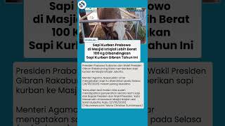 Perbandingan Sapi Kurban Prabowo dan Gibran di Istiqlal, Selisih 100 Kilogram dan Jenis Berbeda
