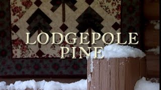 "Lodgepole Pine" Quilts Through the Seasons Series