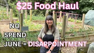 $25 Food Haul/ NO SPEND JUNE/ Dealing with DISAPPOINTMENT/ Frugal Living