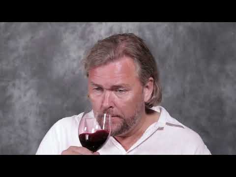Chateau Saint Brice - 2022 - Saint Emilion FR