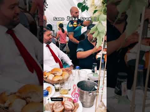 Zika srem KO TO PEVA MOJU PESMU👏👑