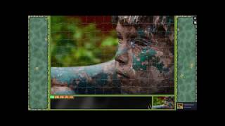 Pixel Puzzles Ultimate ► video № 57◄