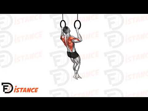 Exercice Tractions aux anneaux