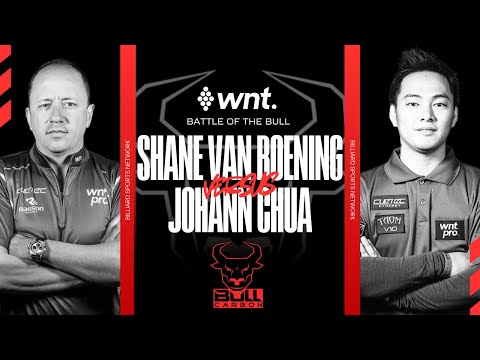 Shane Van Boening vs Johann Chua  - FINALS World Nineball Tour: Battle of the Bull 2025