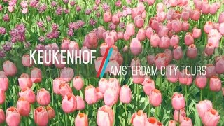 preview picture of video 'Visit Keukenhof Gardens'
