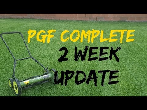 PGF Complete 2 weeks since application | PGF Complete results | Does PGF Complete work?
