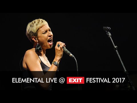 EXIT 2017 | Elemental Priroda i Društvo Live @ Fusion Stage