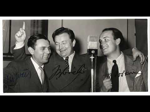 Jan Werich - Kat a blázen