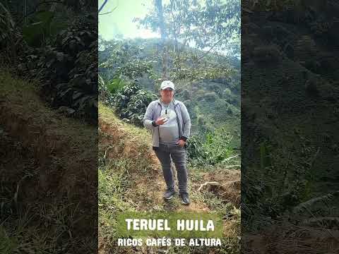 caes de altura de Teruel Huila