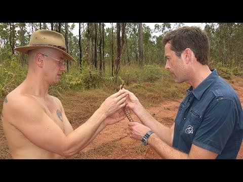 [Doku] Steffens entdeckt - Australien 2 Eldorado der Natur [HD]