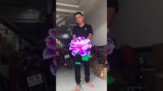 Thiết bị công nghệ hot nhất năm 2024.Trực tiếp test mẩu quạt led 3D hologram  thế hệ mới