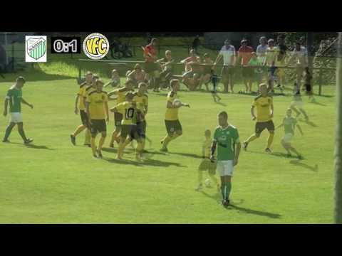 Pokalspiel  TSV 1862 Schildau -VFC Plauen   0:1