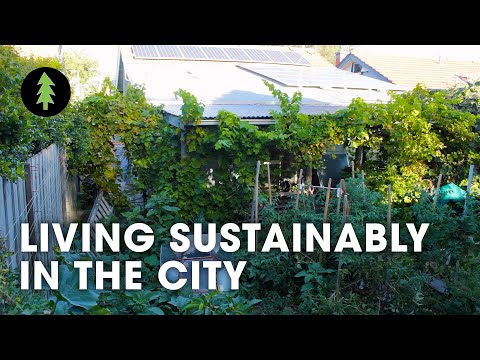 Sustainable City Living on 1/10th of an Acre | Degrowth in the Suburbs