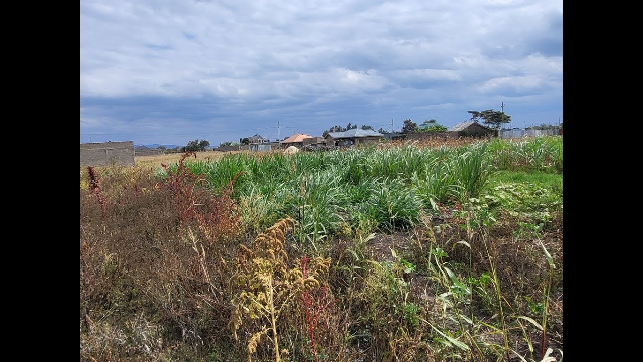 KSh 750K Kantafu Plot