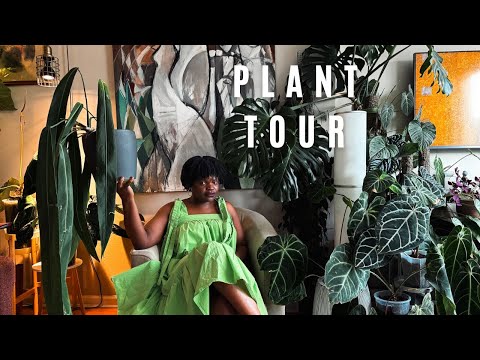 NYC Apartment Tour 2025: Art & Plant Collection  That Creates Calm | Urban Jungle Home Tour