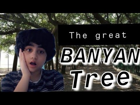 The biggest Banyan tree in the world |#thegreatbanyantree | Navita's thoughts and amazing facts