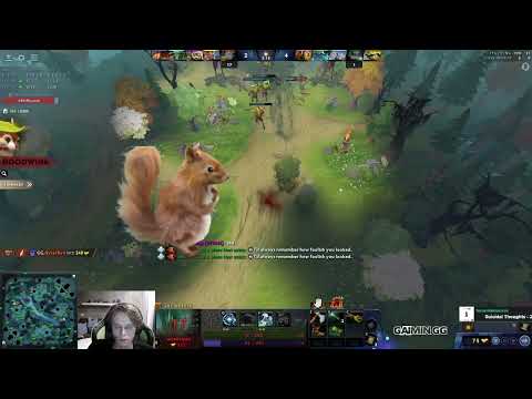 genius Squirrel plants a 2nd tree anticipating dyrachyo to cut the first one