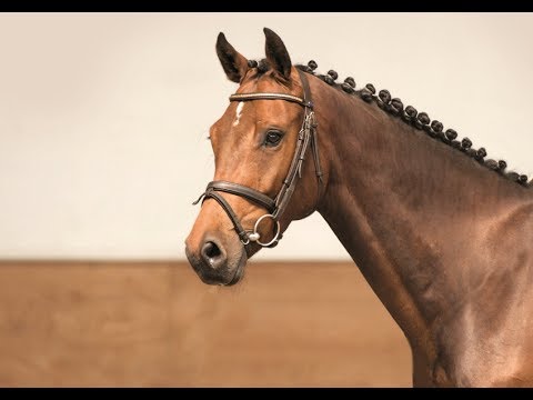 12 | Chapeau v. Cormint - Lorentin I