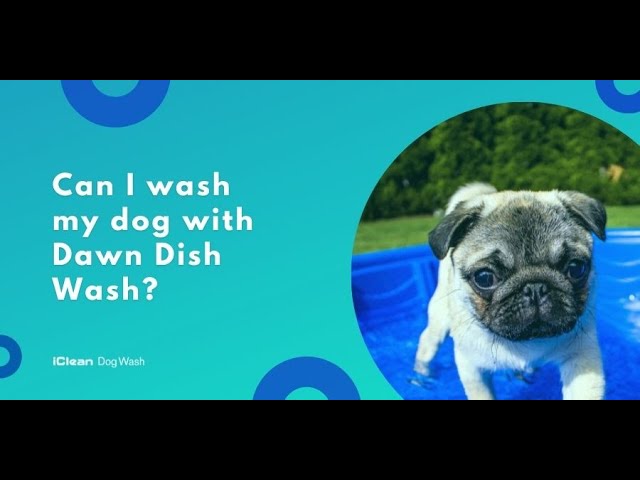 can i wash my dog with dawn