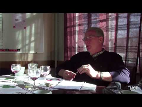 Intervista ad Emilio Stefani