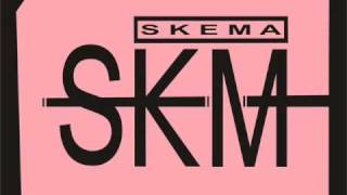 Skema. Invisibile (Cristina Donà) cover