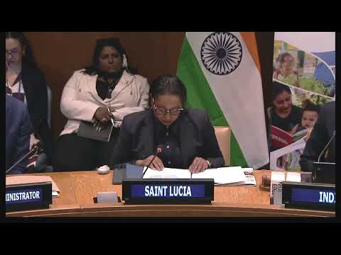 Amb Menissa Rambally, PR of Saint Lucia at Ninth Annual India-UN Development Partnership Fund Event