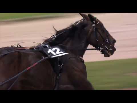 Napoli Trotto 01/05/2024 - 5ª corsa - G.P. Regione Campania femmine