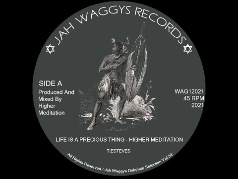 Jah Waggys Dubplate Selection Vol.34-12"-Life Is A Precious Thing / Higher Meditation
