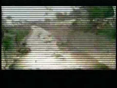 vybz kartel- dont run