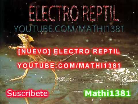 ELECTRO REPTIL 2011 [NEW]