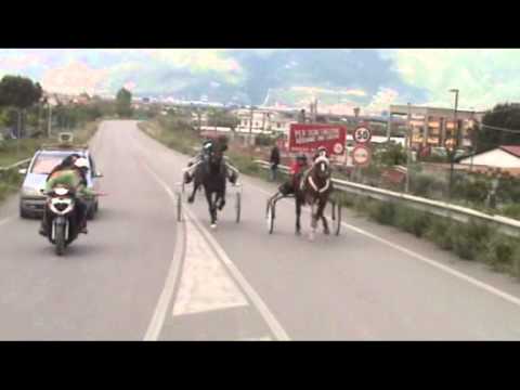 corse clandestine champagne