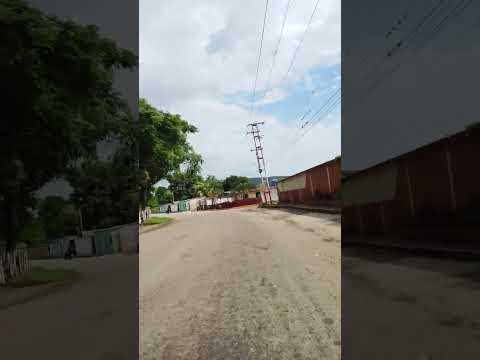 ven al municipio Cruz paredes Barinas. #barinasvenezuela  #barrancasbarinas