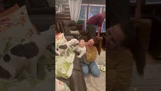 Video preview image #1 American Pit Bull Terrier-Unknown Mix Puppy For Sale in Wakefield, RI, USA