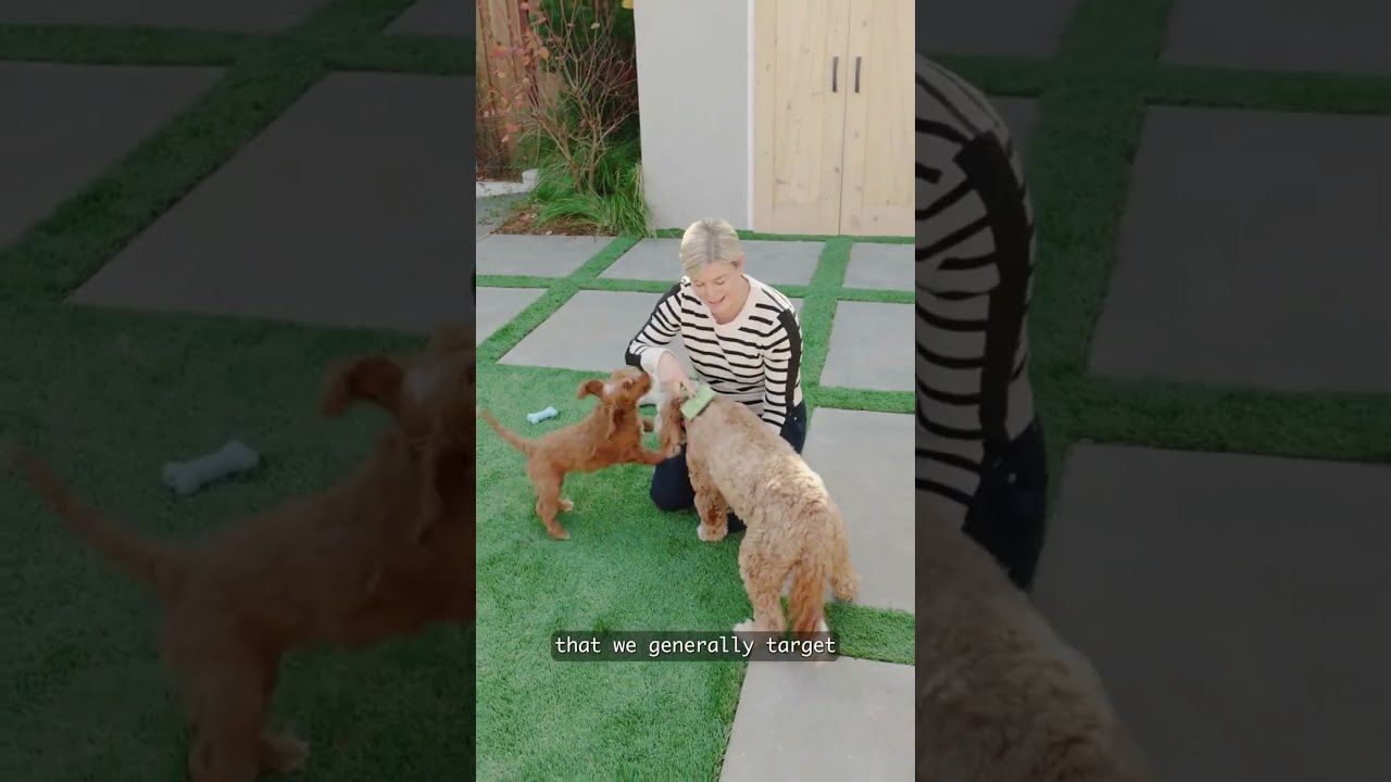 Video preview image for How Bark Busters Helps with Nipping and Biting