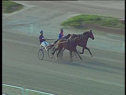 Trotto 13/04/2018 - prova di qualifica