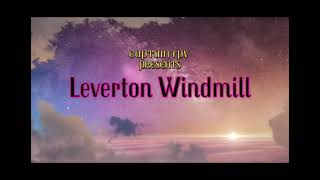 Leverton Windmill Novice 3 FPV and COBRA X Goggles - Captain FPV
