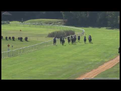 KV, 22. 9. 2019, 2. dostih - Cena PRIMÁTORKY MĚSTA KARLOVY VARY