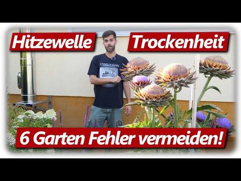 , title : '6 häufige Fehler vermeiden! | Garten bei Hitze und Trockenheit | Gartenarbeit Hochsommer'