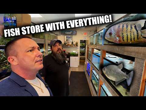 Fish Store Tour: How to Pick the Best Aquatic Pets