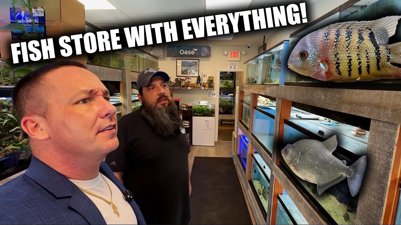 I toured an aquarium fish store in New Jersey - pick fish pets -  the king of DIY