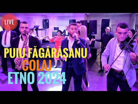 Puiu Fagarasanu🆙Colaj Etno💯 Live 2024